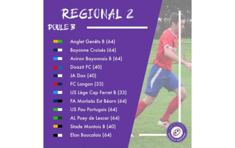 La poule de l’équipe Séniors A pour la saison 2020-2021 : Ligue de Football Nouvelle-Aquitaine 